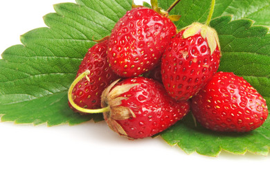 Similar image 1107477