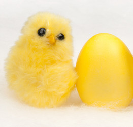 Similar image 1107478