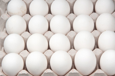 Similar image 1107484