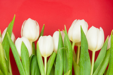 Similar image 1107485