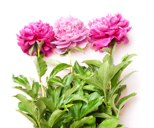 Similar image 1107503