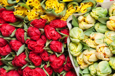 Similar image 1107505