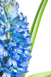 Similar image 1107512