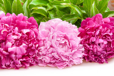 Similar image 1107516