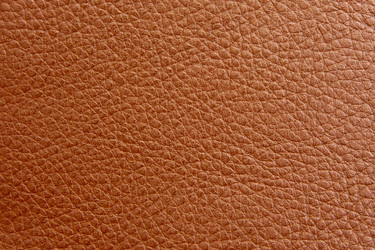 Similar image 1107517