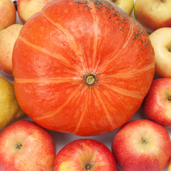 Similar image 1107521