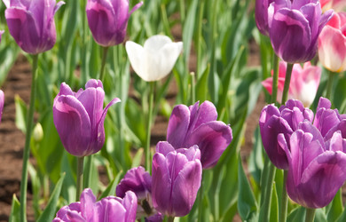 Similar image 1107524