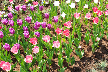 Similar image 1107525