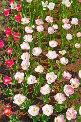 Similar image 1107526