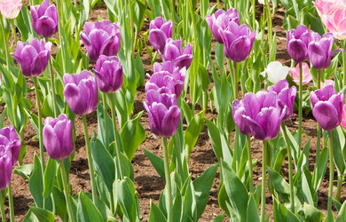 Similar image 1107527