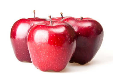 Similar image 1107534