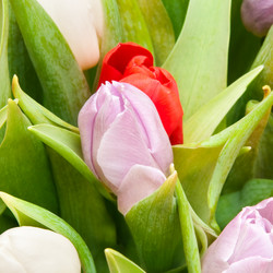 Similar image 1107540