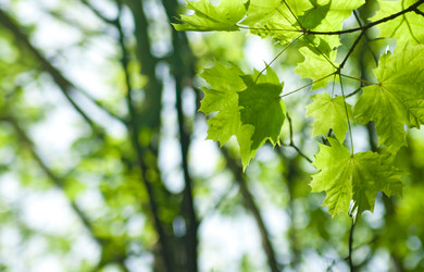 Similar image 1107549