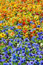 Similar image 1107550