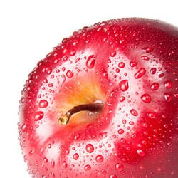 Similar image 1107557