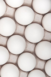 Similar image 1107562