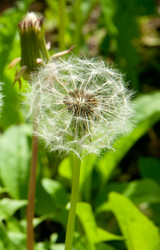 Similar image 1107566