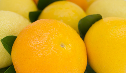 Similar image 1107602