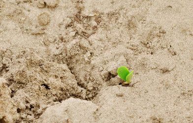 Similar image 1107661