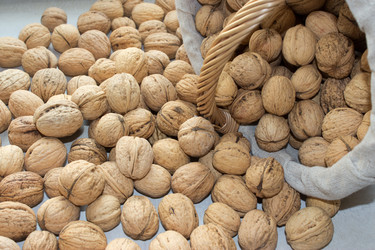 Similar image 1107761