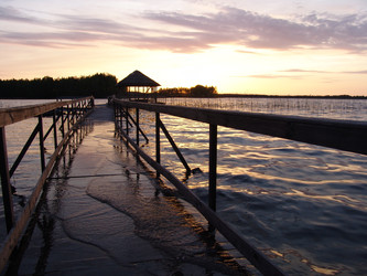 Similar image 1107781