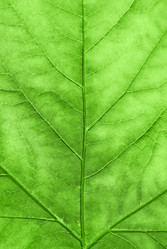 Similar image 1107793