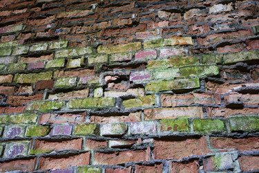 Similar image 1107798