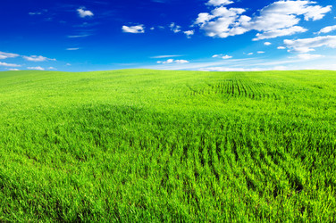 Similar image 1107812