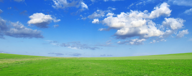 Similar image 1107818