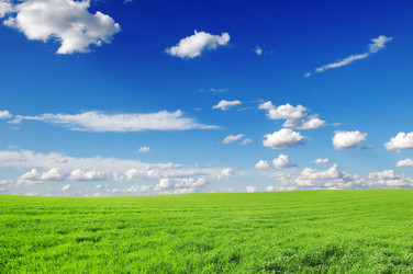 Similar image 1107851