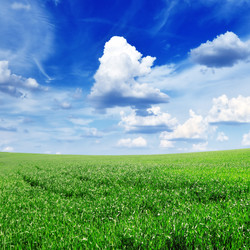 Similar image 1107857