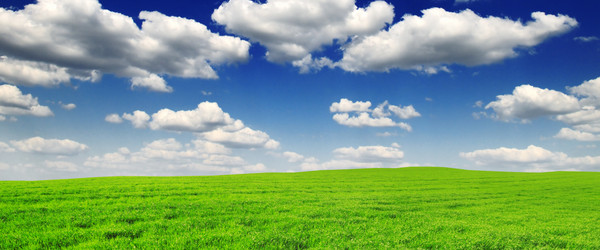 Similar image 1107858