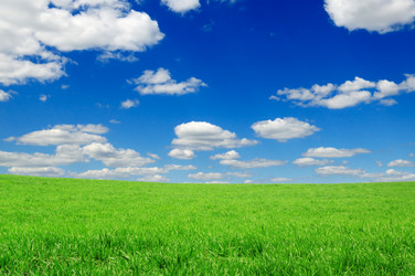 Similar image 1107862