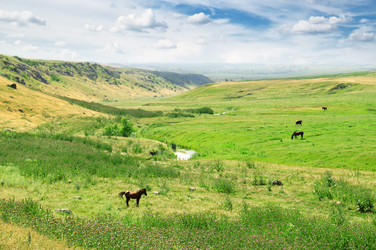 Similar image 1107869