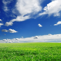 Similar image 1107882