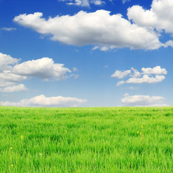 Similar image 1107884