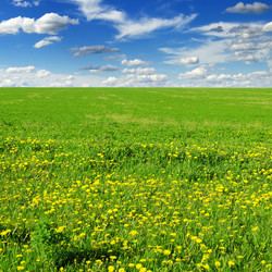 Similar image 1107902