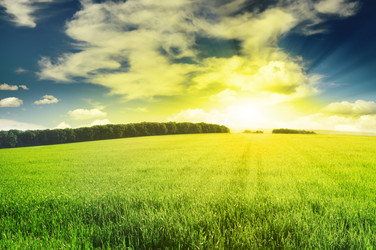 Similar image 1107906