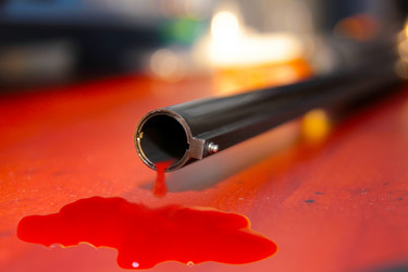 Similar image 1108018