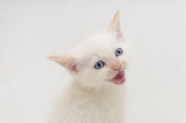 Similar image 1108108