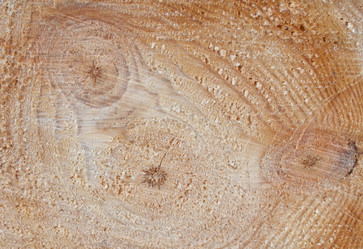 Similar image 1108168