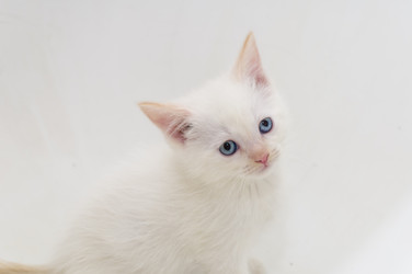 Similar image 1108191