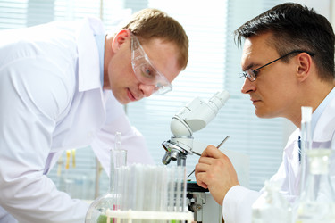 Similar image 1108244