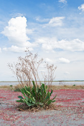 Similar image 1108326