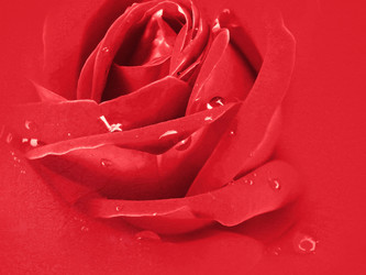 Similar image 1108407