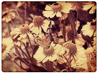 Similar image 1108408