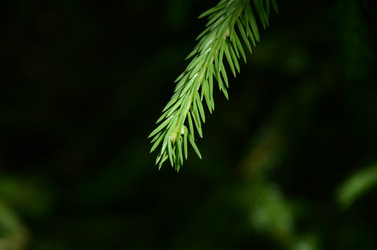 Similar image 1108425