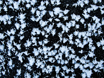 Similar image 1108522