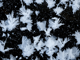 Similar image 1108523