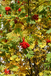 Similar image 1108547